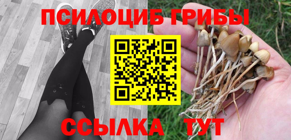 Тихорецк  Псилоцибиновые грибы Cubensis  Вход с VPN  Псилоцибиновые грибы мицелий 